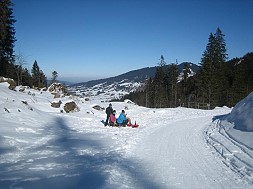 Schlittentour am Pürschling ( 30 km )